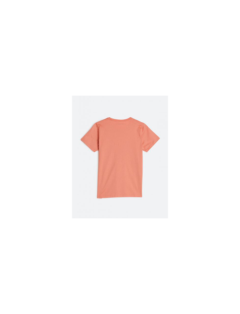 T-shirt Salm&atilde;o